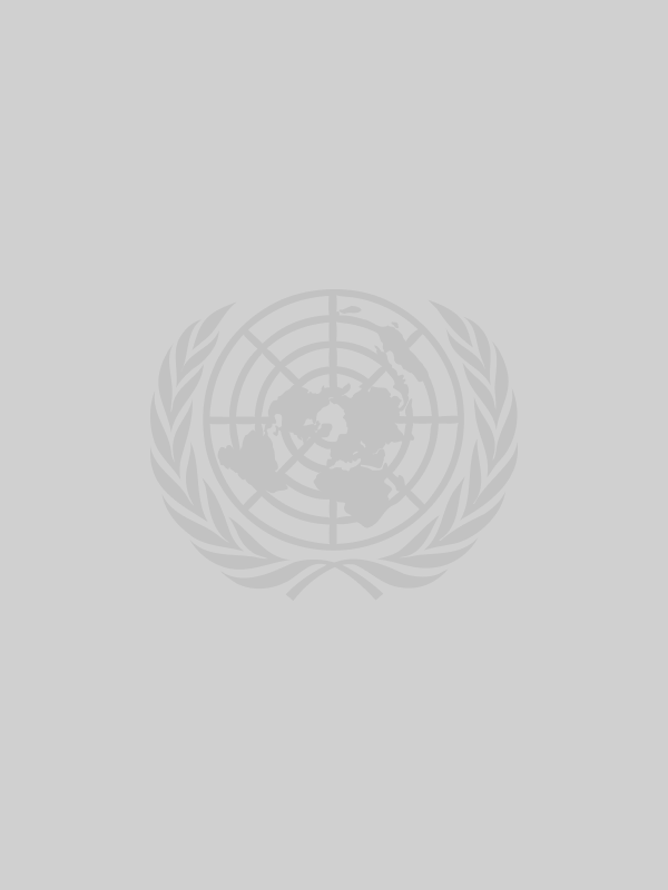 United Nations logo